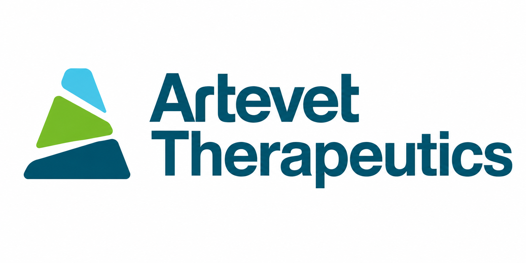 Partner 4